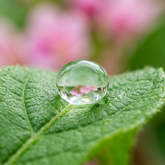 "I Stopped Retaining Water": The Counterintuitive Magic of Pink Salt